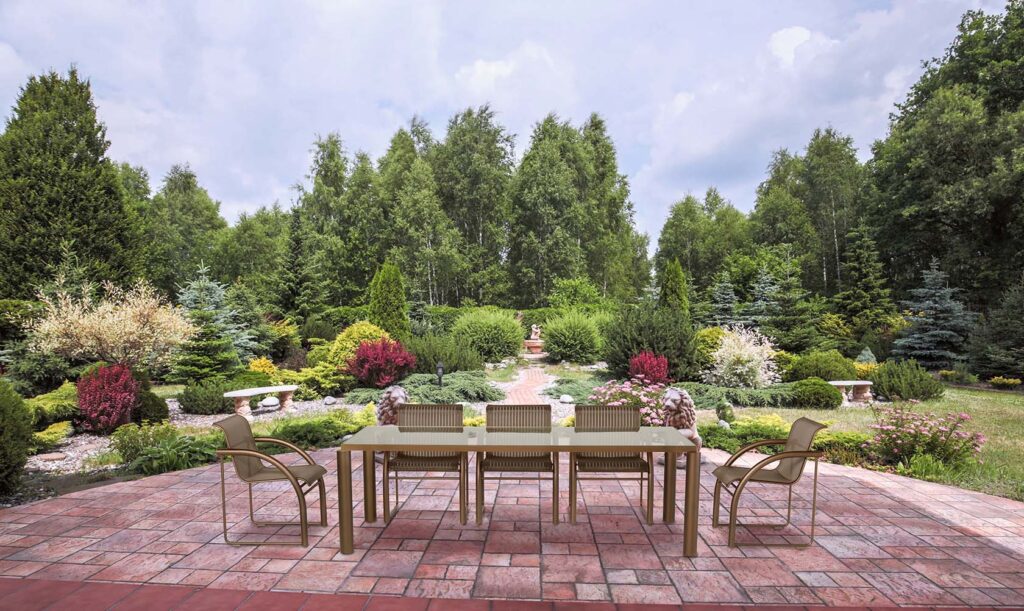 Case Study SEO Topline