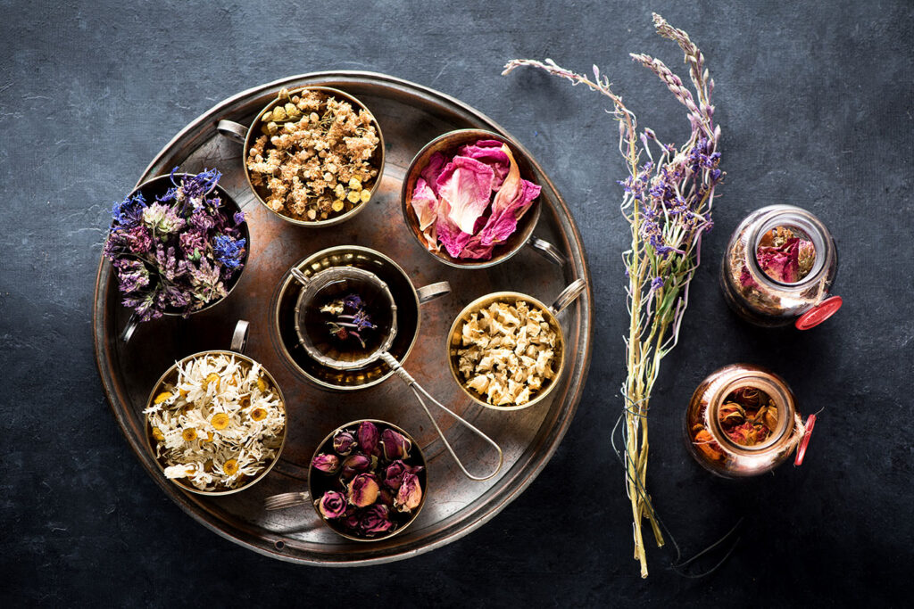 Case Study Herbal Inn User Experience